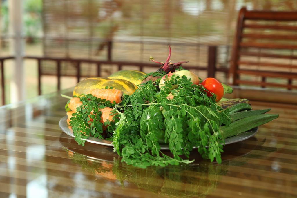 The Health Village Alwaye Exteriör bild